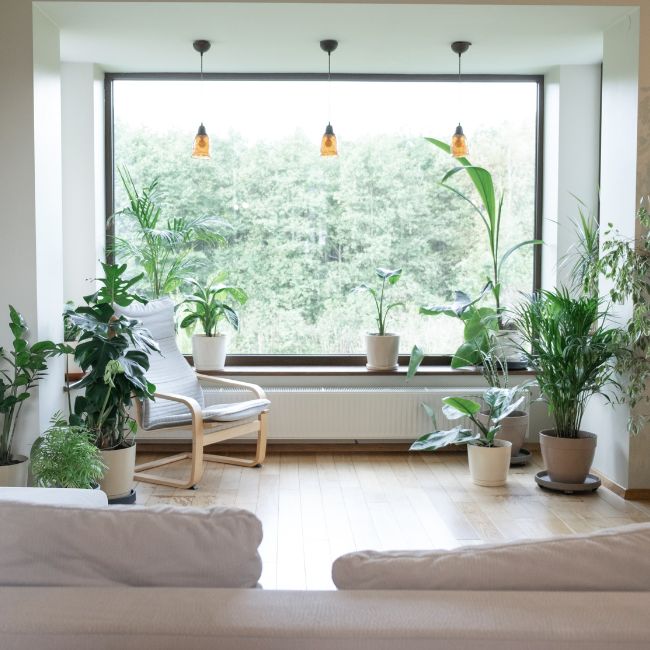 Living area with lots of indoor plants and a large picture window looking out to nature representing the open home styling trend of bringing the outdoors in