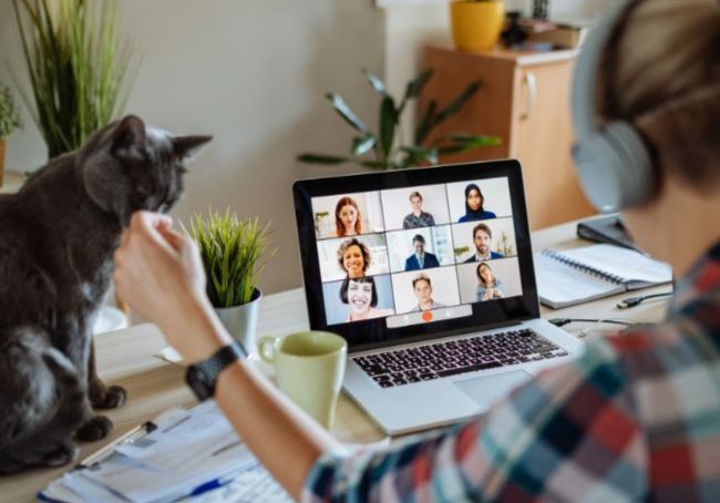 Remote Working & Homeownership - shows a woman sitting at her desk with her laptop and cat. The laptop shows a virtual meeting room